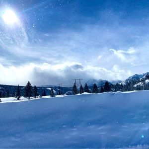 Meet your Posher, Javian